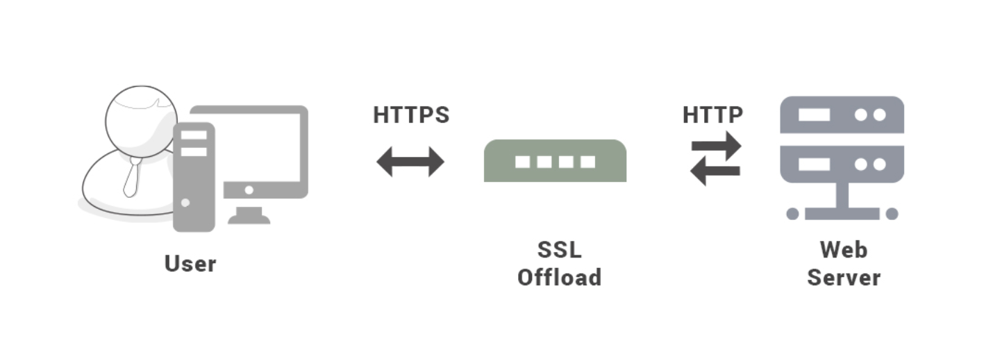image-20220716221336226